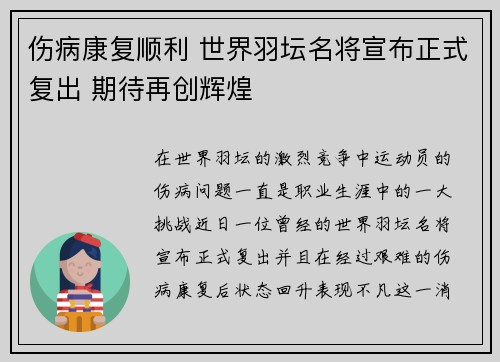 伤病康复顺利 世界羽坛名将宣布正式复出 期待再创辉煌